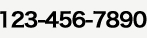 123-456-7890